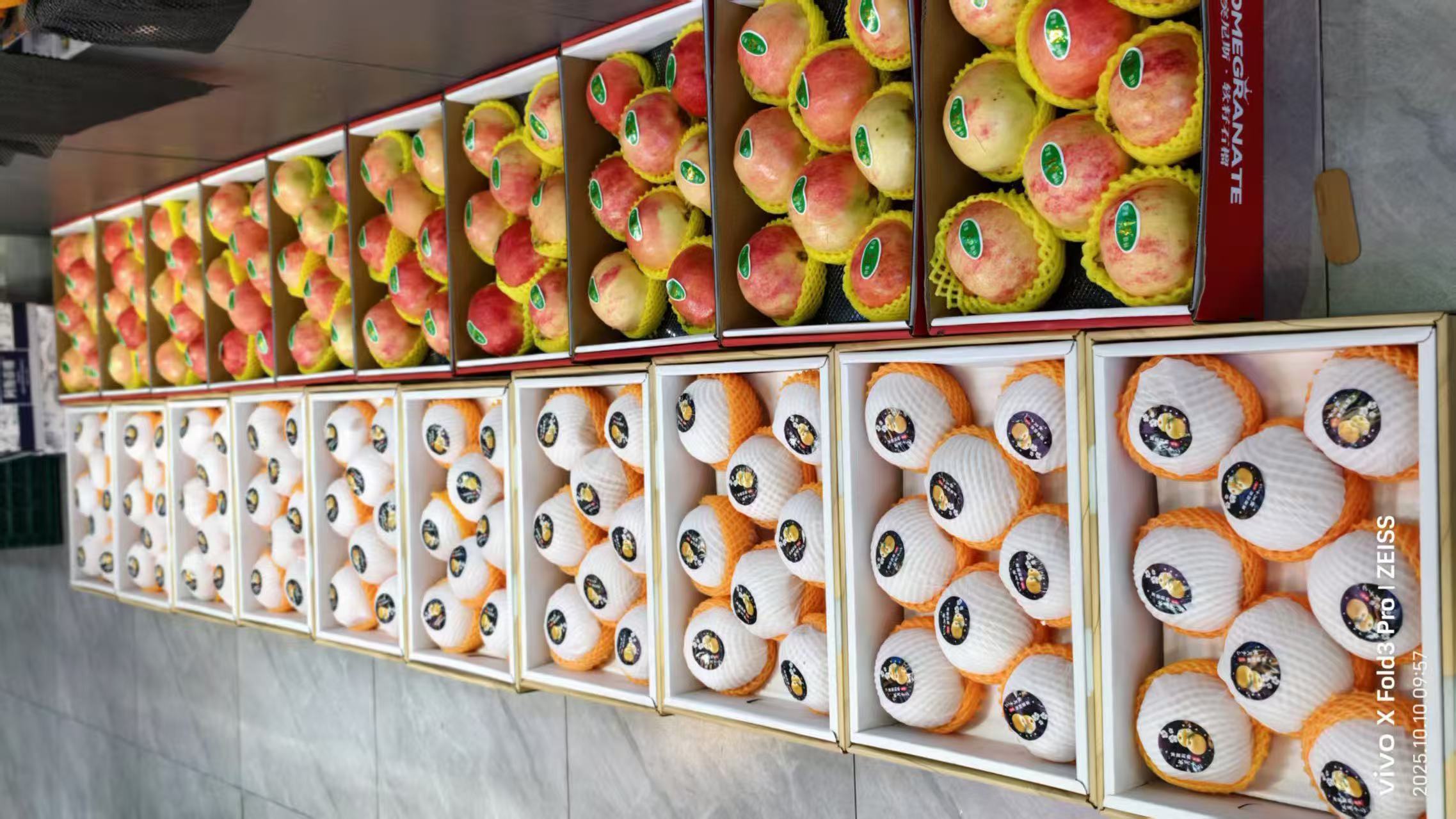 3b855071192b0c75f556cb0453b0c231