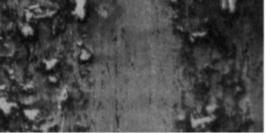 淺析工程塑料磨損機理及如何改善工程塑料耐磨性能